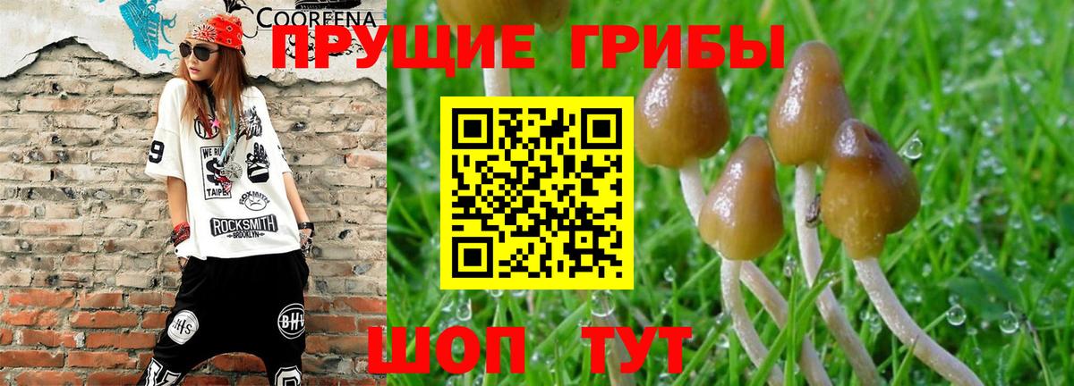 Галлюциногенные грибы MAGIC MUSHROOMS Мценск